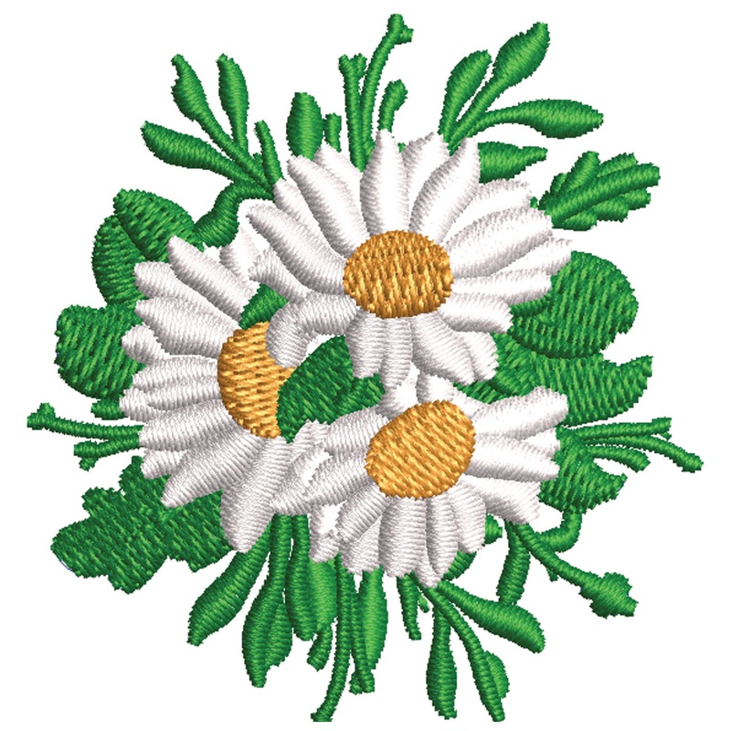 White Daisy Flowers White Daisy Flowers One Size