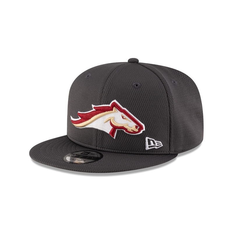 Birmingham Stallions Gray 9FIFTY Snapback Hat One Size