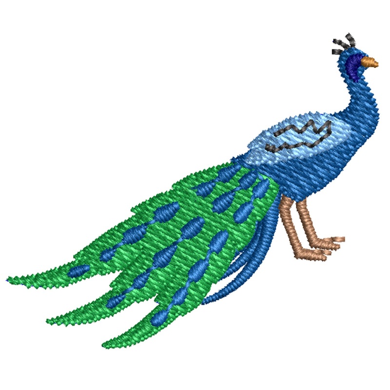Cartoon Peacock Cartoon Peacock One Size
