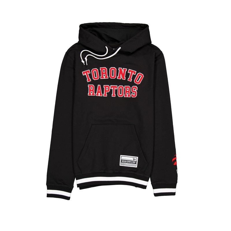 Toronto Raptors Team Color Logo Select Hoodie S