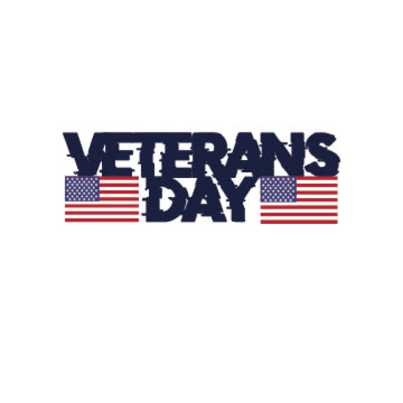Army Veteran Day Army Veteran Day One Size
