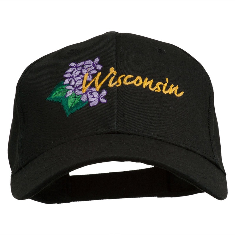 USA State Wisconsin Wood Violet Embroidered Low Profile Cap Black One Size