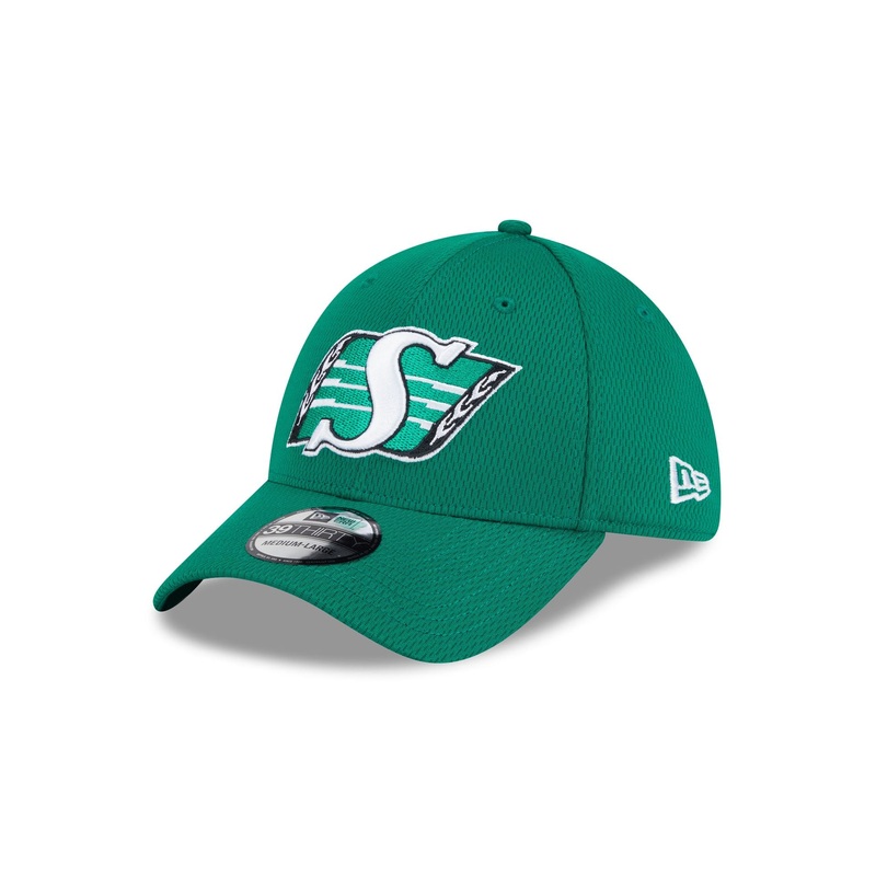Saskatchewan Roughriders Rear Wordmark 39THIRTY Stretch Fit Hat S/M