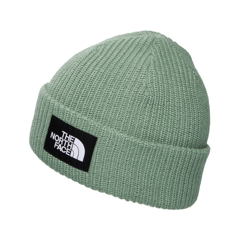 The North Face Hats Kids Salty Lined Recycled Beanie Hat – Sage Kids – 1-Size