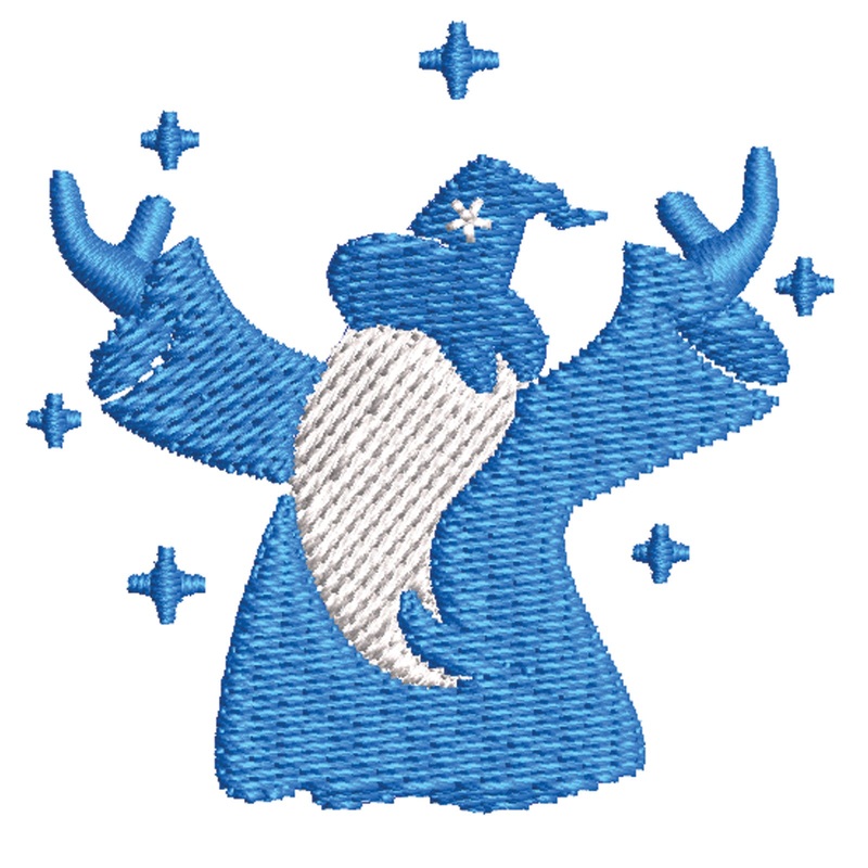 Wizard Wizard One Size