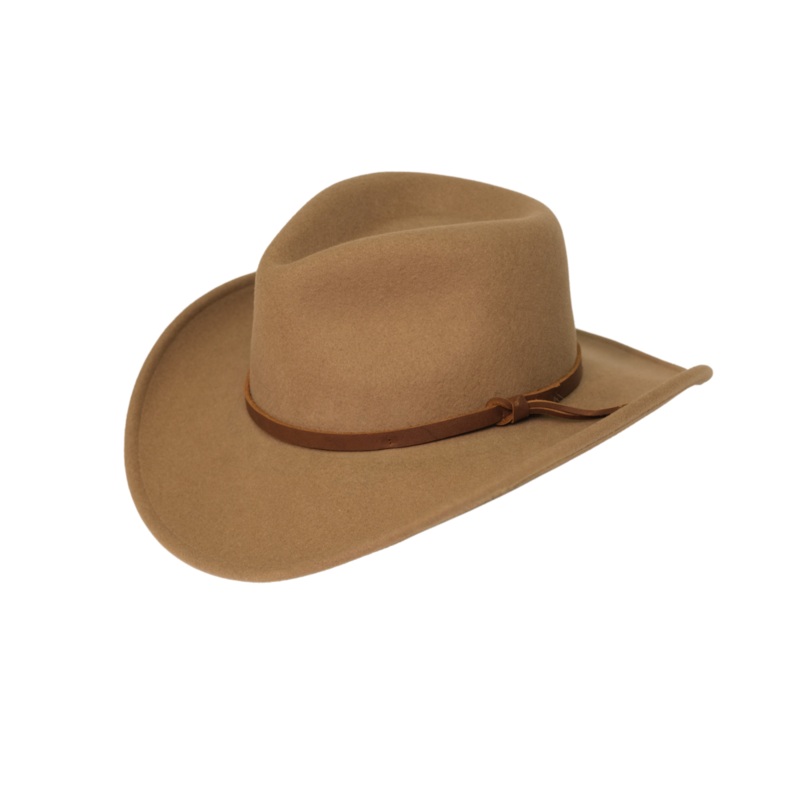 Cassidy Fedora Black M