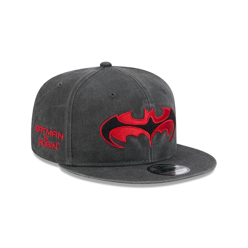 Batman & Robin 9FIFTY Snapback Hat One Size
