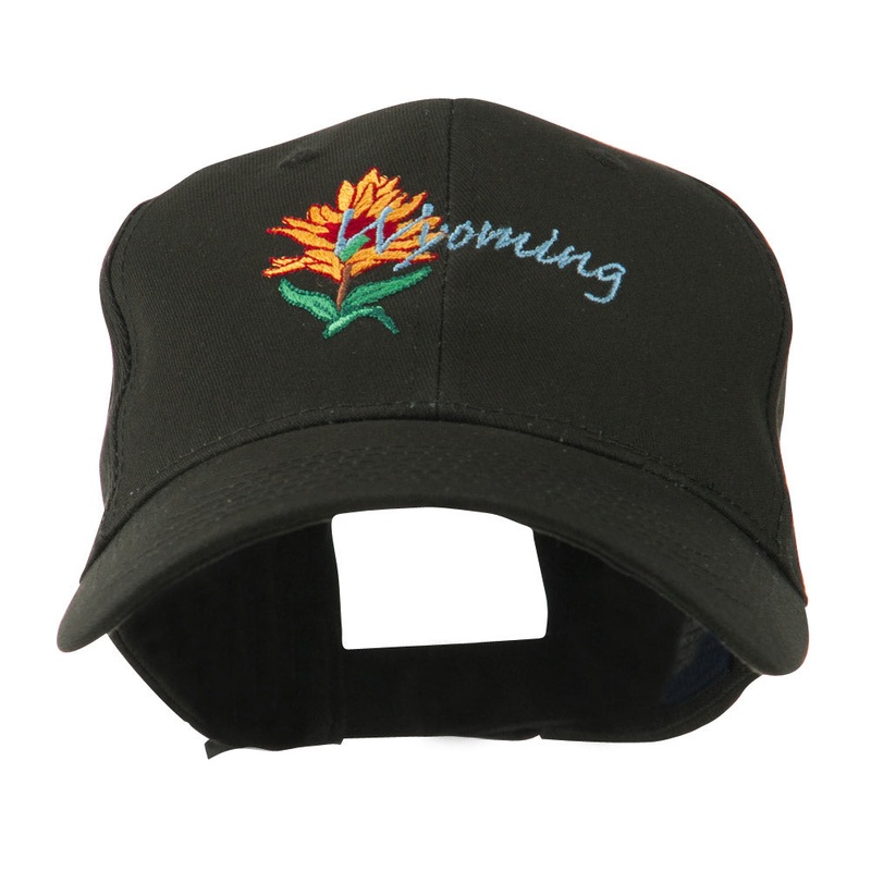 USA State Flower Wyoming Indian Paintbrush Embroidered Cap Black One Size