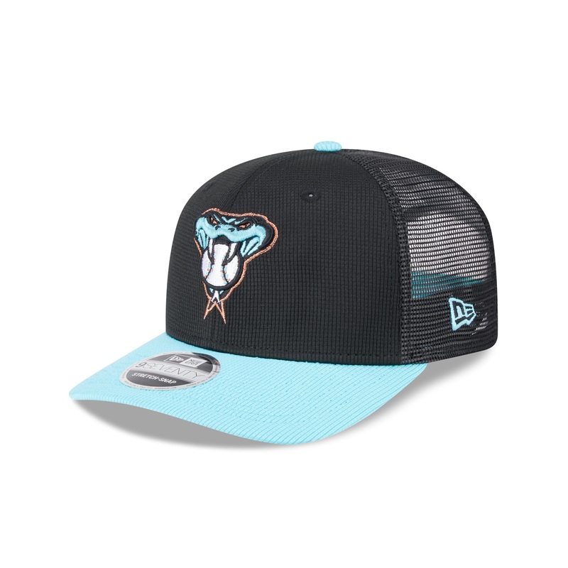 Arizona Diamondbacks 2025 Batting Practice 9SEVENTY Trucker Hat One Size