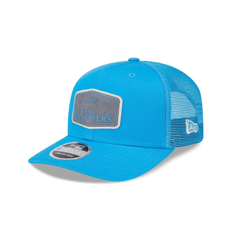 Carolina Panthers Labeled 9SEVENTY Stretch-Snap Hat One Size