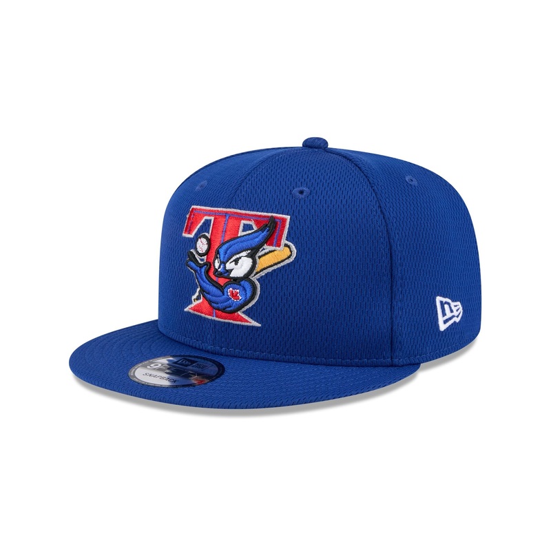 Toronto Blue Jays 2025 Clubhouse Alt 9FIFTY Snapback Hat One Size