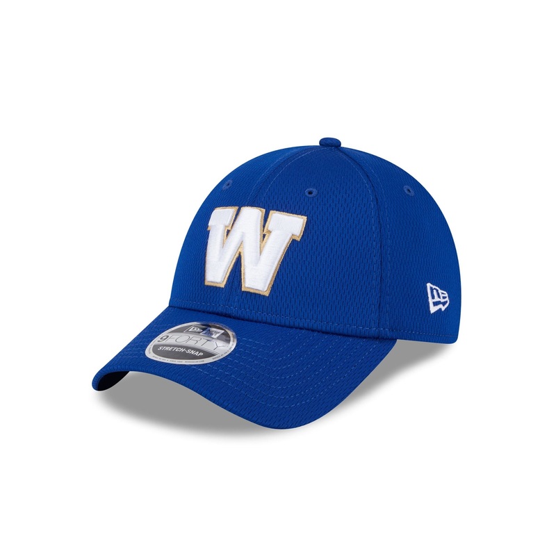 Winnipeg Blue Bombers Team 9FORTY Snapback Hat One Size