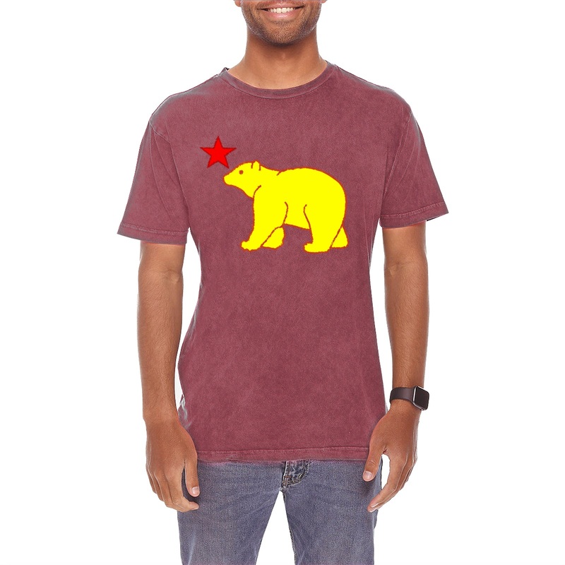 Bear and Star California Graphic Design Vintage Crewneck Tee Vintage Brick XS