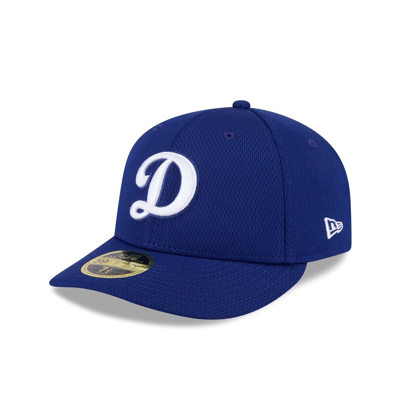 Los Angeles Dodgers 2025 Clubhouse Alt Low Profile 59FIFTY Fitted Hat 7
