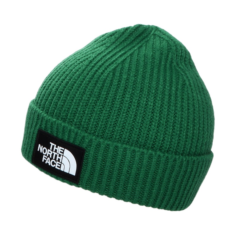 The North Face Hats Kids TNF Box Logo Cuffed Beanie Hat – Evergreen Kids – 1-Size
