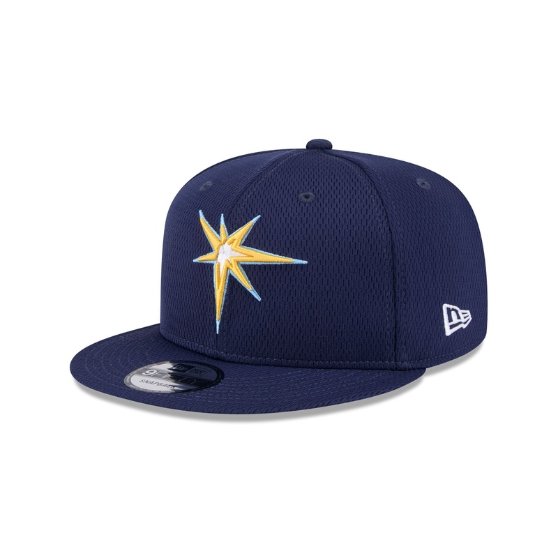 Tampa Bay Rays 2025 Clubhouse Alt 9FIFTY Snapback Hat One Size