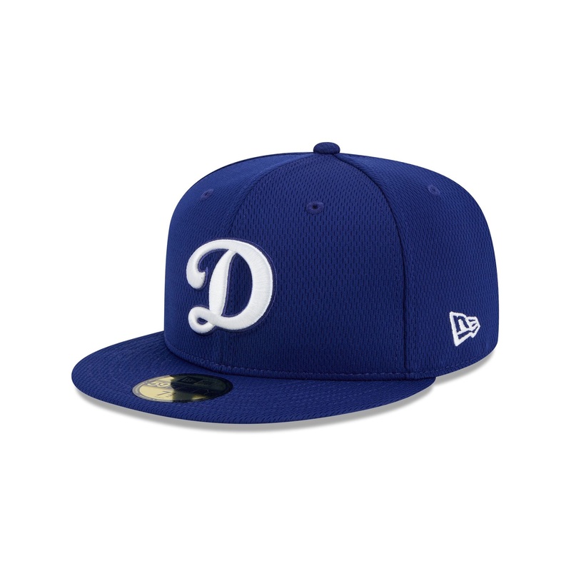 Los Angeles Dodgers 2025 Clubhouse Alt 59FIFTY Fitted Hat 7