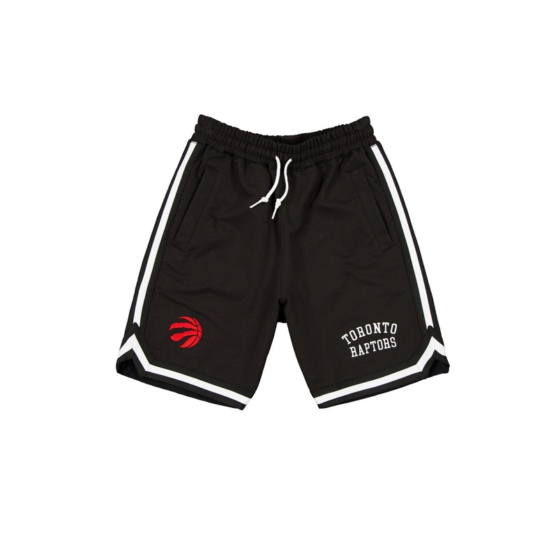 Toronto Raptors Team Color Logo Select Shorts S