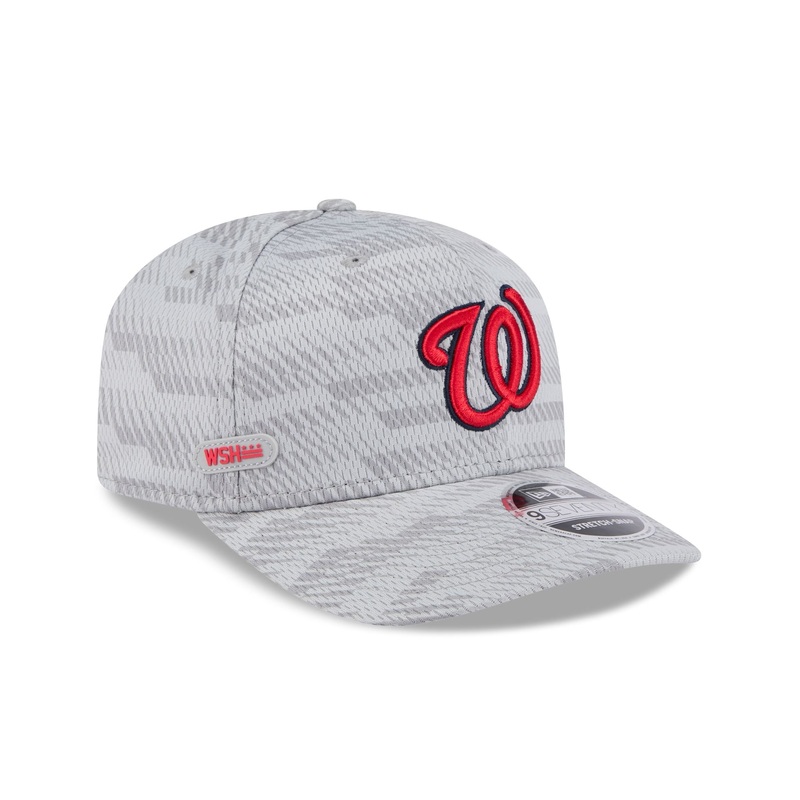 Washington Nationals 2025 Clubhouse Gray 9SEVENTY Stretch-Snap Hat One Size