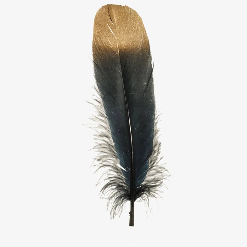 Goose | Goose Hat Feather Black & Gold