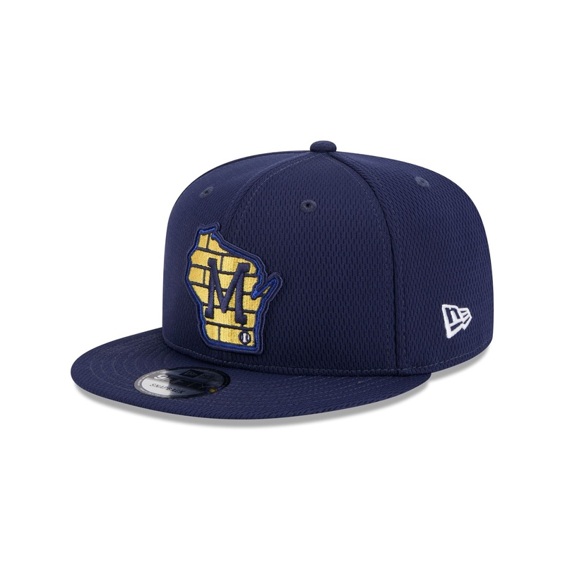 Milwaukee Brewers 2025 Clubhouse Alt 9FIFTY Snapback Hat One Size