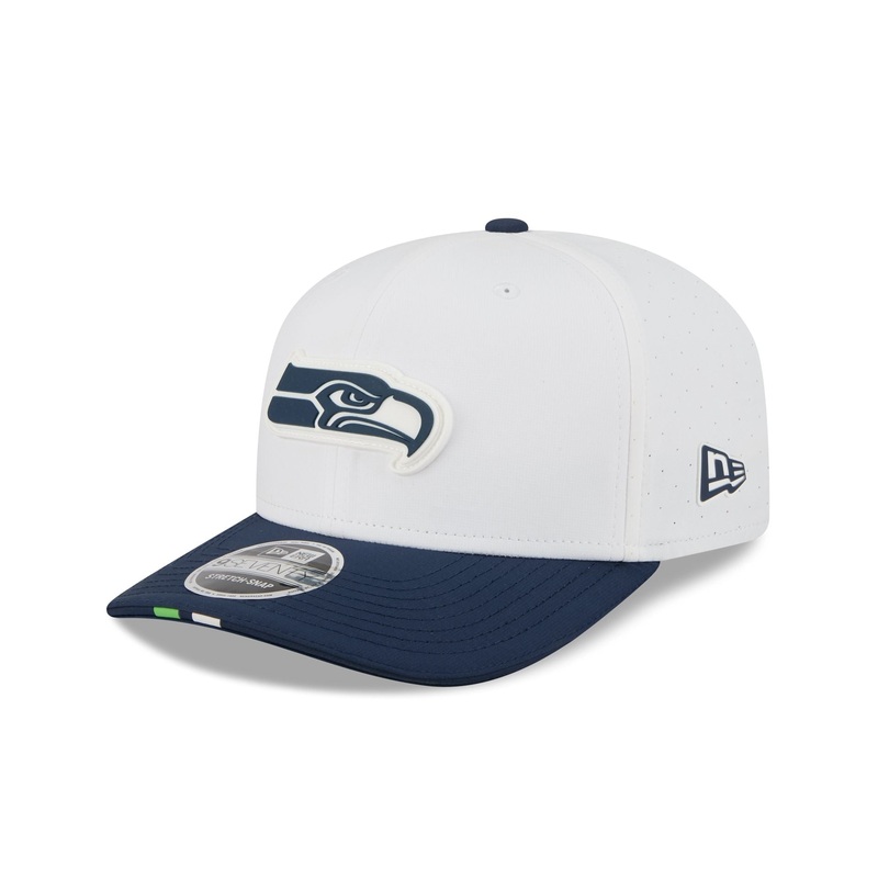 Seattle Seahawks 2025 Training 9SEVENTY Stretch-Snap Hat One Size