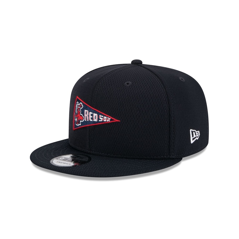 Boston Red Sox 2025 Clubhouse Alt 9FIFTY Snapback Hat One Size