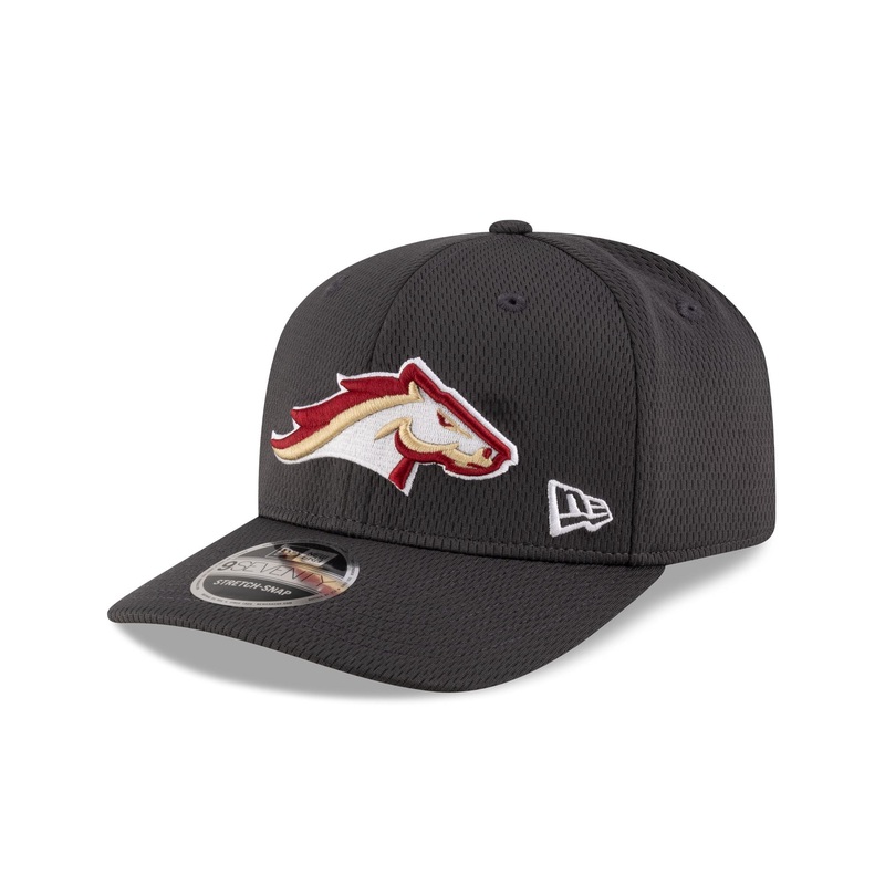 Birmingham Stallions Gray 9SEVENTY Stretch-Snap Hat One Size