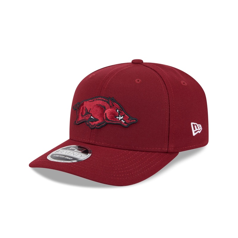 Arkansas Razorbacks Team 9SEVENTY Stretch-Snap Hat One Size