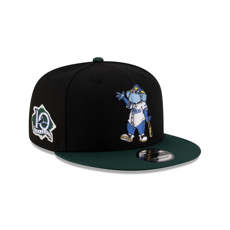 Tampa Bay Rays Mascot Black 9FIFTY Snapback Hat One Size