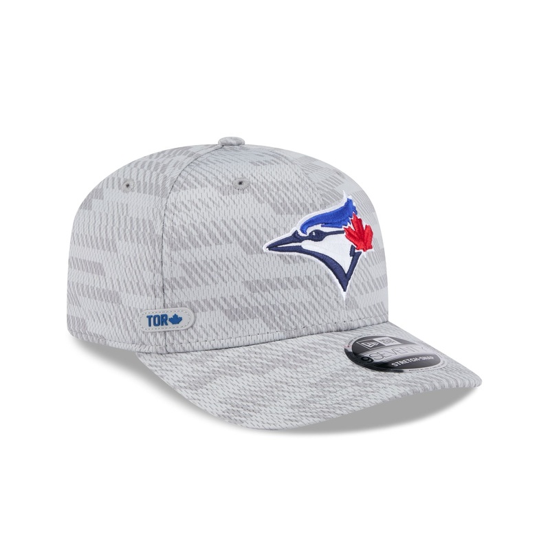 Toronto Blue Jays 2025 Clubhouse Gray 9SEVENTY Stretch-Snap Hat One Size