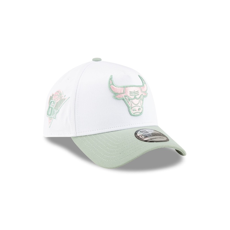 Chicago Bulls Spring Colorway 9FORTY A-Frame Snapback Hat One Size