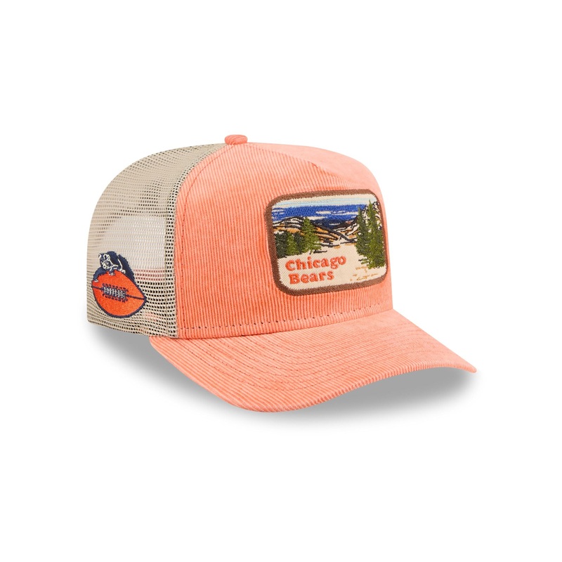 Chicago Bears Vintage Landscape 9FIFTY A-Frame Trucker Hat One Size