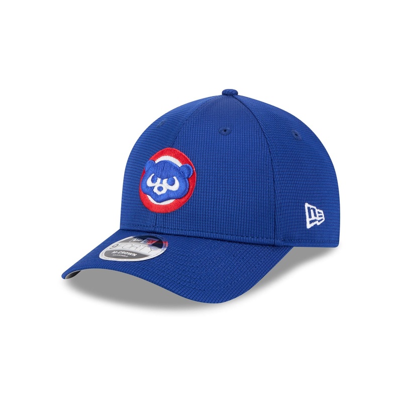 Chicago Cubs 2025 Batting Practice 9FORTY M-Crown Snapback Hat One Size