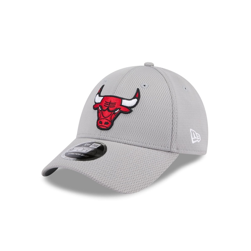 Chicago Bulls Gray 9FORTY Stretch-Snap Hat One Size