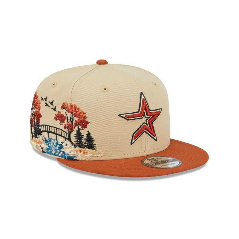 Houston Astros Fall Landscape 9FIFTY Snapback Hat One Size
