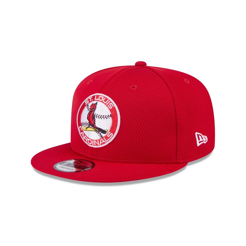 St. Louis Cardinals 2025 Clubhouse Alt 9FIFTY Snapback Hat One Size