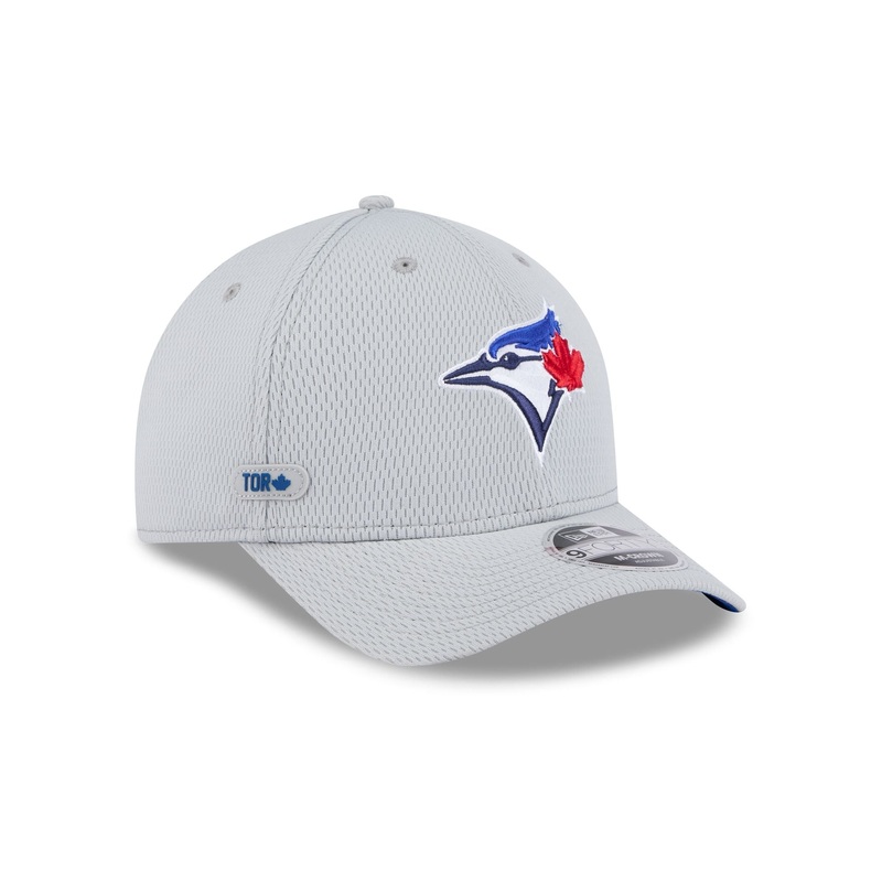 Toronto Blue Jays 2025 Clubhouse Gray 9FORTY M-Crown Snapback Hat One Size