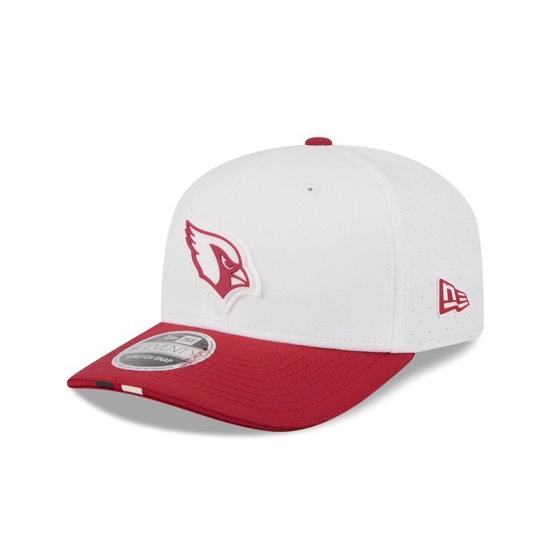 Arizona Cardinals 2025 Training 9SEVENTY Stretch-Snap Hat One Size