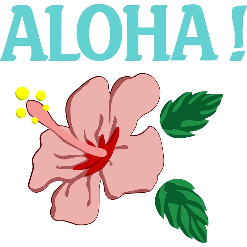 Aloha Flower Default Title One Size