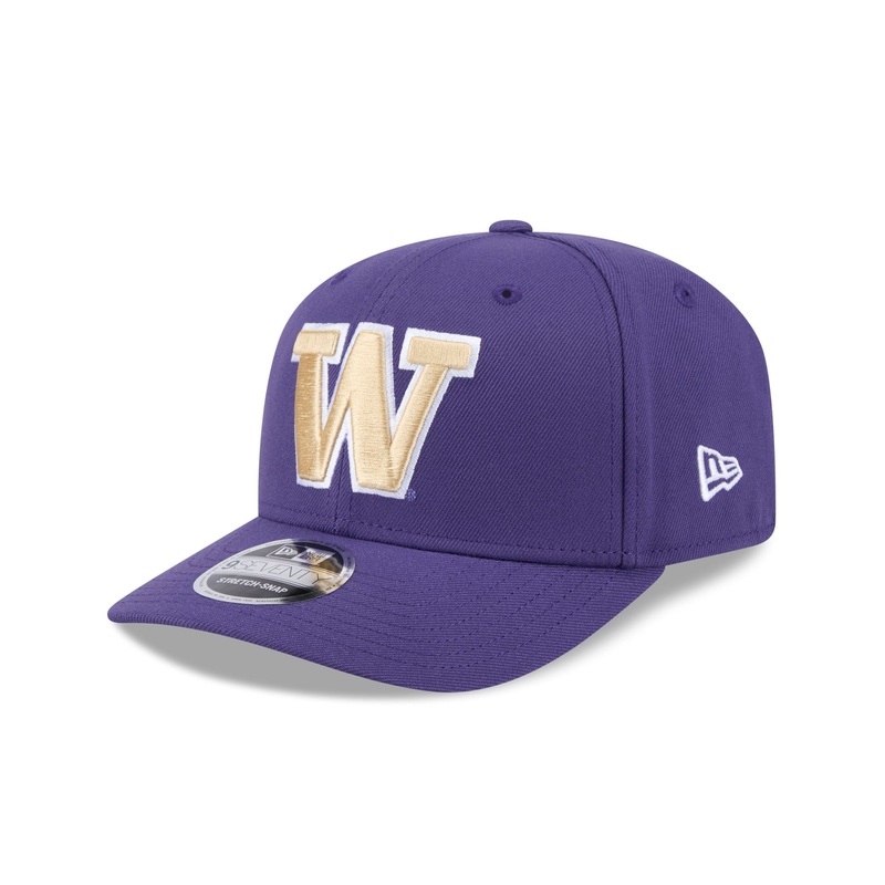 Washington Huskies Team 9SEVENTY Stretch-Snap Hat One Size