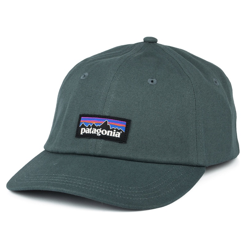 Patagonia Hats P-6 Label Trad Organic Cotton Baseball Cap – Light Forest Adjustable