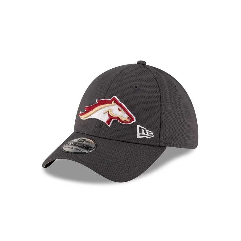 Birmingham Stallions Gray 39THIRTY Stretch Fit Hat S/M