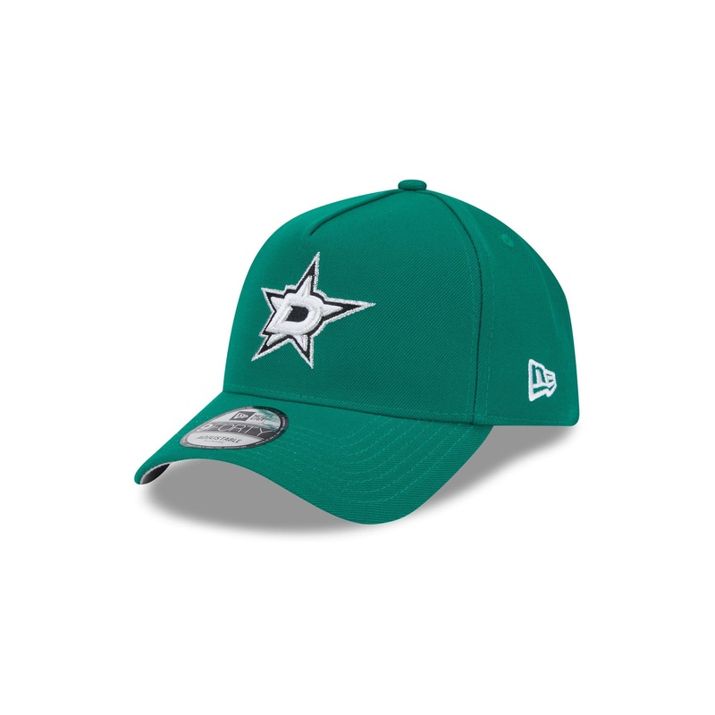 Dallas Stars Team 9FORTY A-Frame Snapback Hat One Size