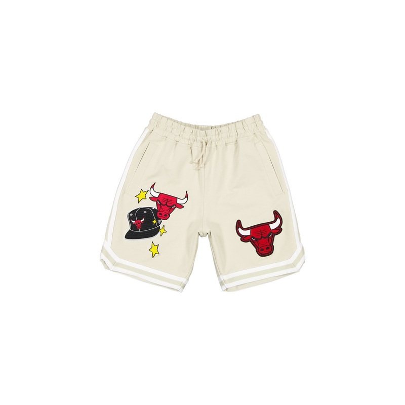 Chicago Bulls Stone Logo Select Shorts S