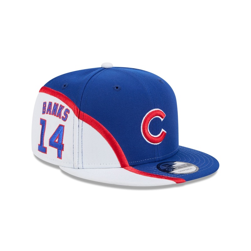 Chicago Cubs Ernie Banks 9FIFTY Snapback Hat One Size