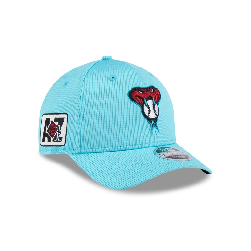 Arizona Diamondbacks 2025 Spring Training 9FORTY M-Crown Snapback Hat One Size