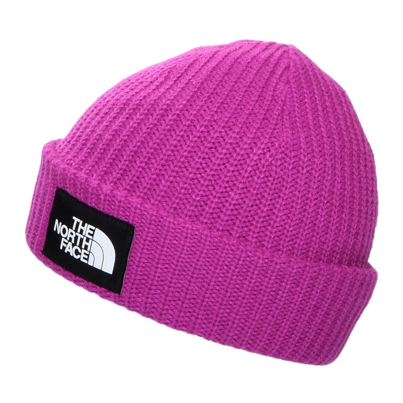 The North Face Hats Kids Salty Lined Beanie Hat – Mulberry Kids – 1-Size